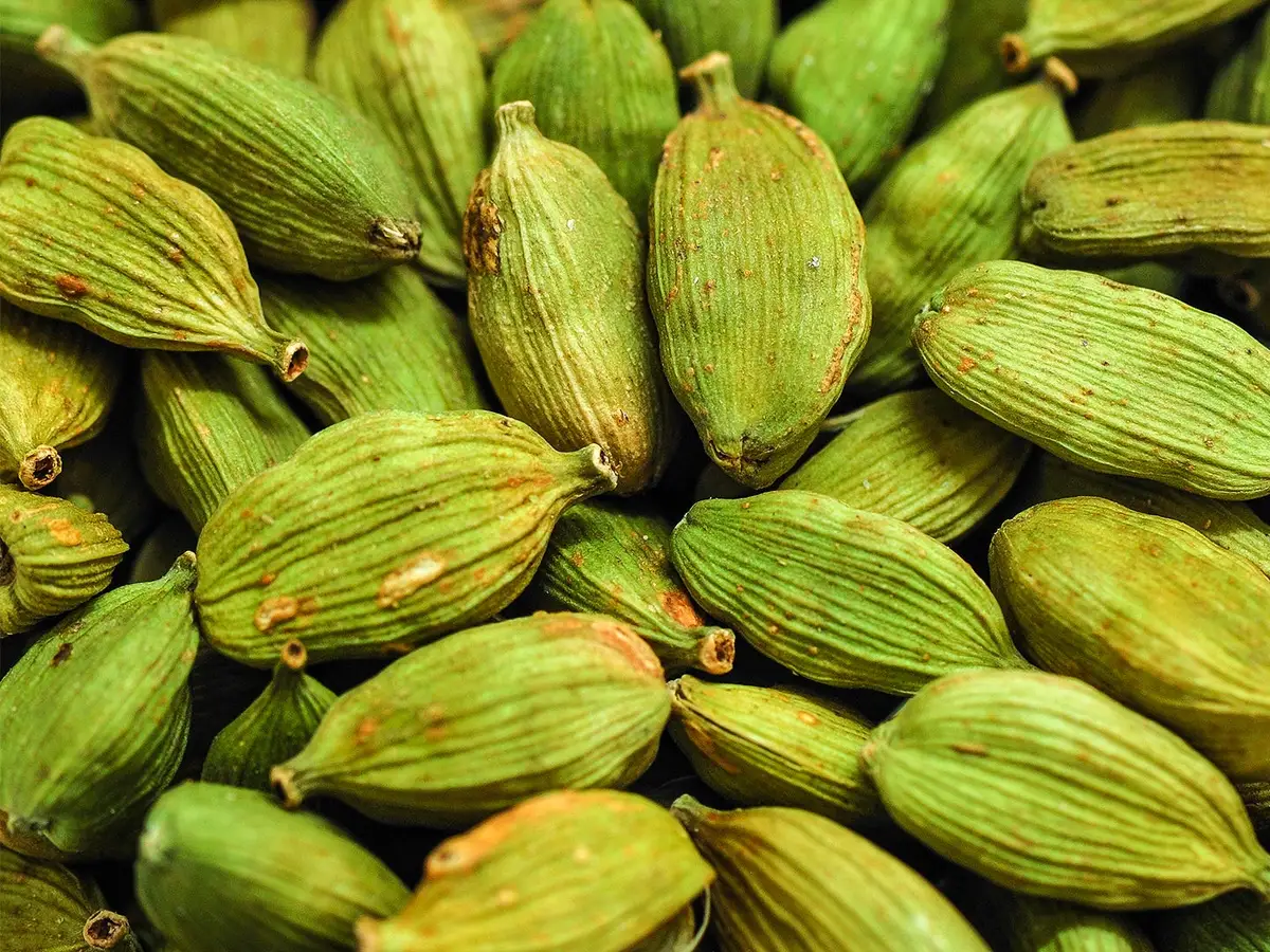 green cardamom, green cardamom spices, best green cardamom, green cardamom suppliers, green cardamom seeds, green elaichi, elaichi green cardamom, fresh green cardamom
